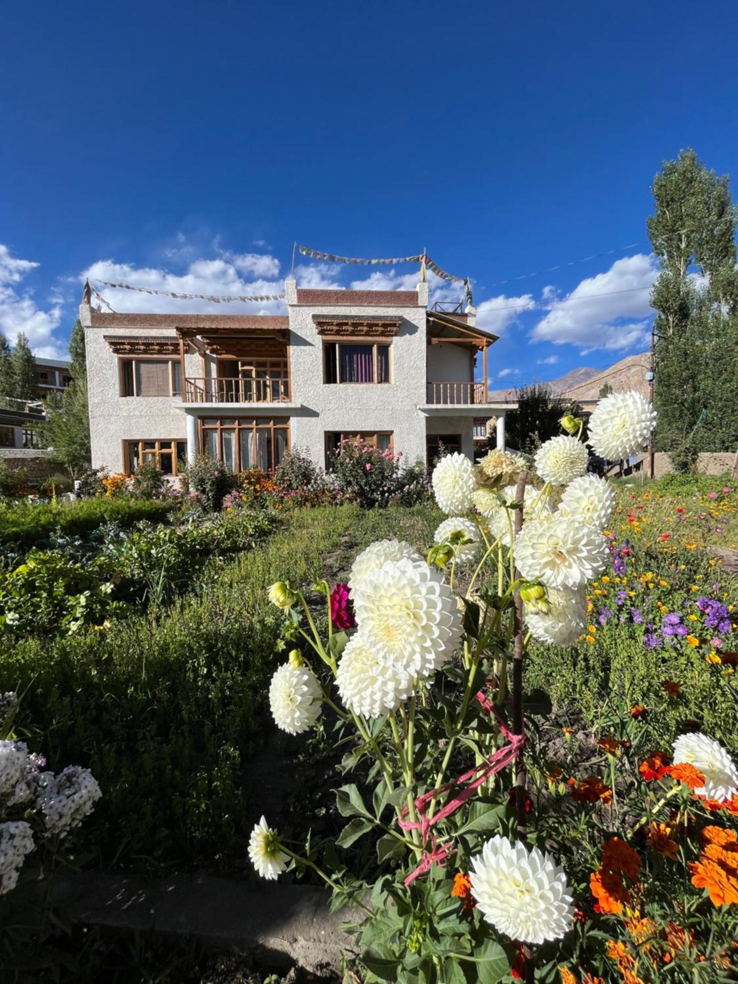 ホテル Chakzot Garden House レー エクステリア 写真