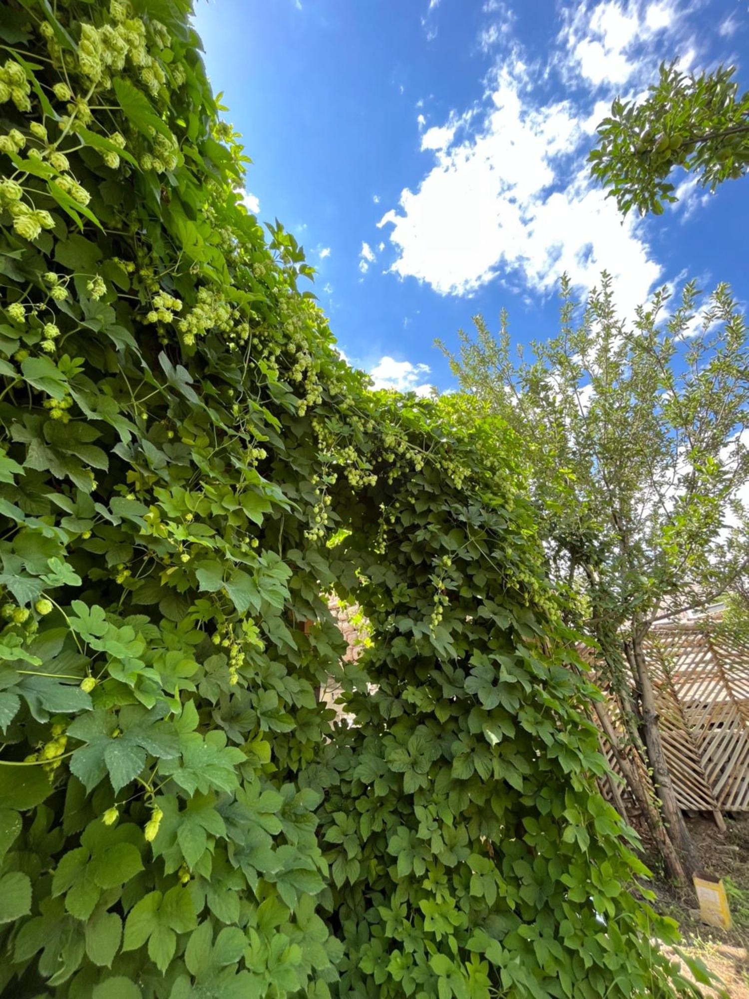 ホテル Chakzot Garden House レー エクステリア 写真