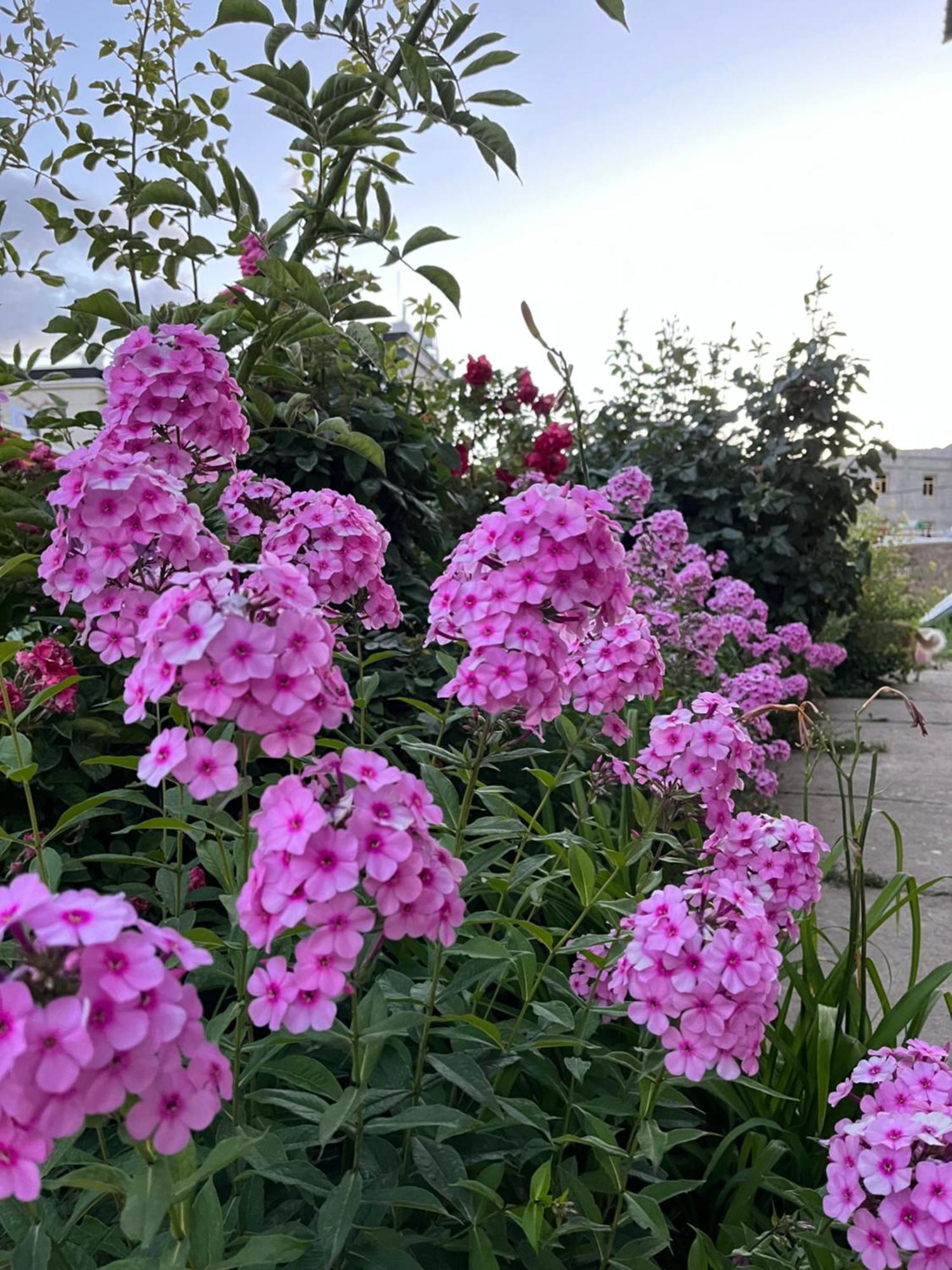 ホテル Chakzot Garden House レー エクステリア 写真